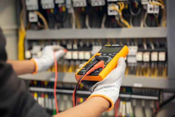 Best Electrical Panel Upgrades  in Rome, IL